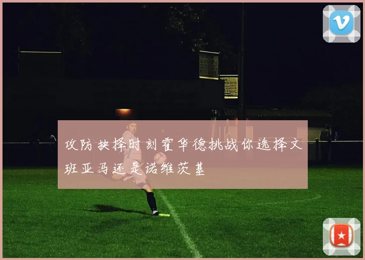 攻防抉择时刻霍华德挑战你选择文班亚马还是诺维茨基